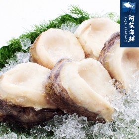 【阿家海鮮】生凍智利大鮑魚 180g±10%/單顆(規格4/6)